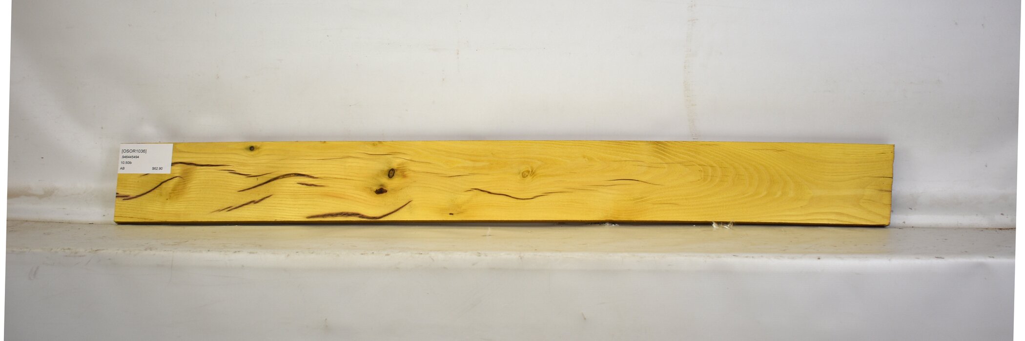 Osage Orange 2 OSOR1036_2