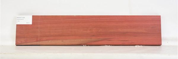 REDHT1244_1