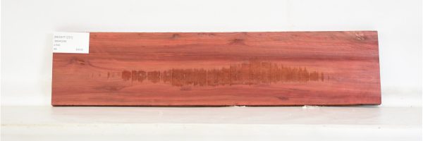 REDHT1251_1