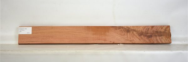 ROSEAF1136_2