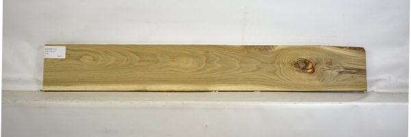 SASSAF1111_1