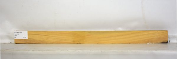 SATINEI1094_1