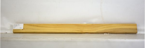 SATINEI1095_1