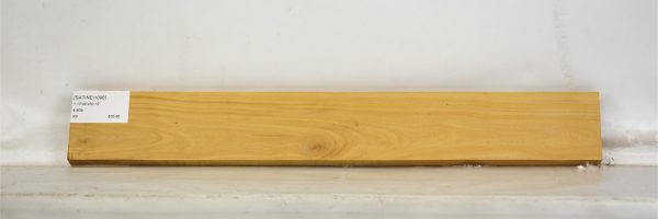 SATINEI1096_2