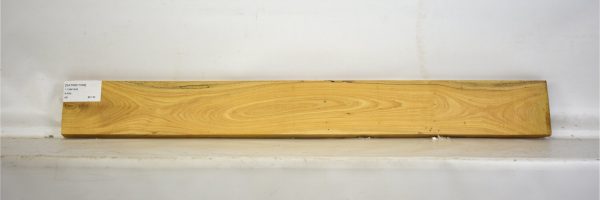 SATINEI1099_2