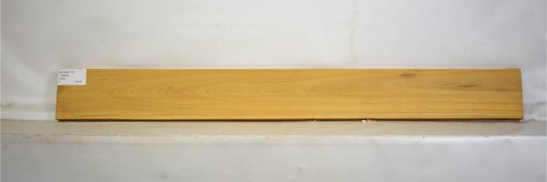 SATINEI1101_2