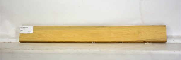 SATINEI1102_1