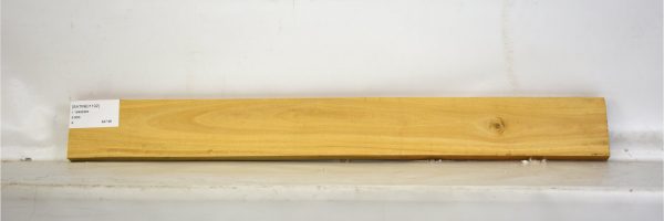SATINEI1102_2