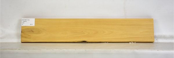 SATINEI1103_1