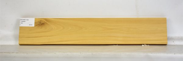 SATINEI1104_1