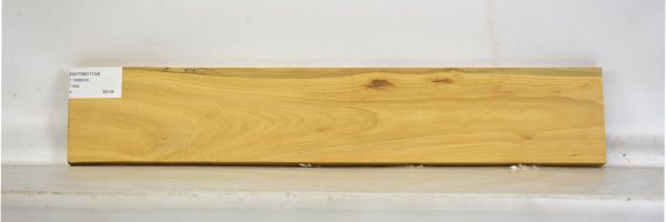 SATINEI1104_2