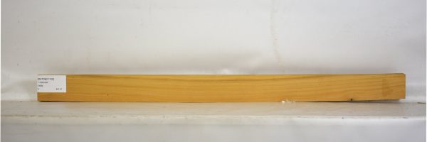 SATINEI1105_2