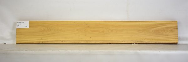 SATINEI1106_1