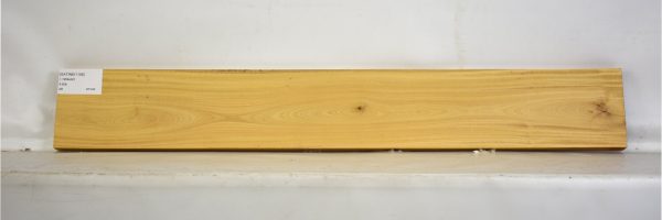SATINEI1106_2