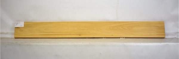 SATINEI1107_1