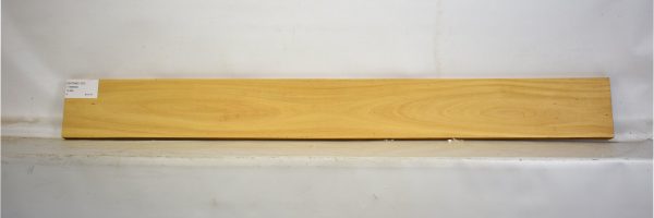 SATINEI1107_2