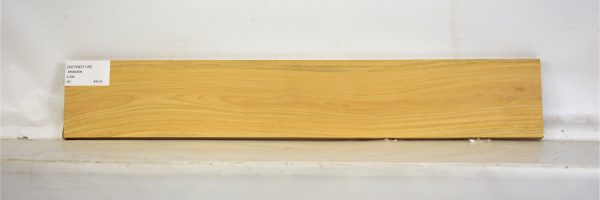 SATINEI1108_1