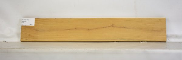 SATINEI1108_2
