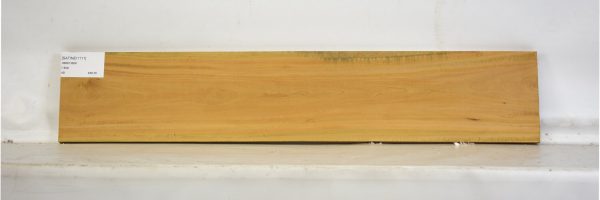 SATINEI1111_1