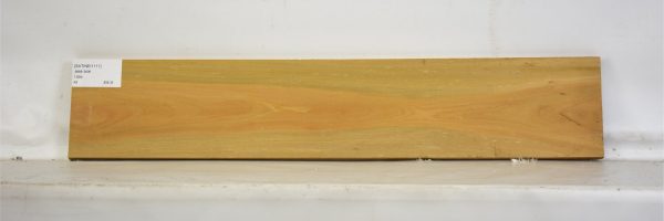 SATINEI1111_2