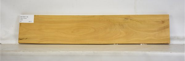 SATINEI1118_2