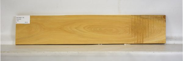 SATINEI1119_1