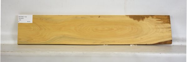 SATINEI1119_2