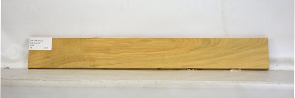 SATINEI1122_1