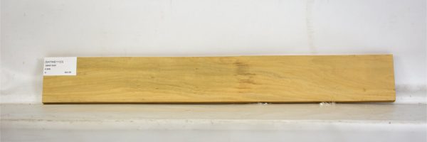 SATINEI1123_1