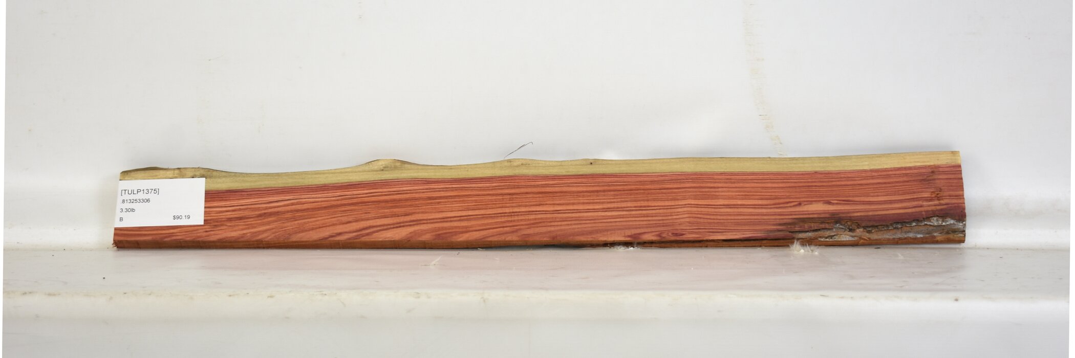 Tulipwood 2 TULP1375_2