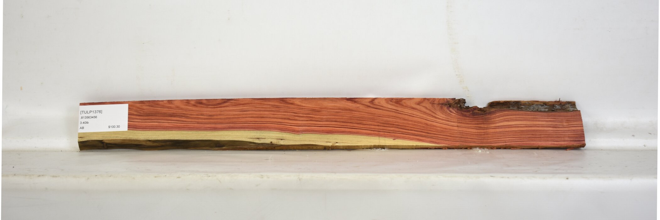 Tulipwood 2 TULP1376_2