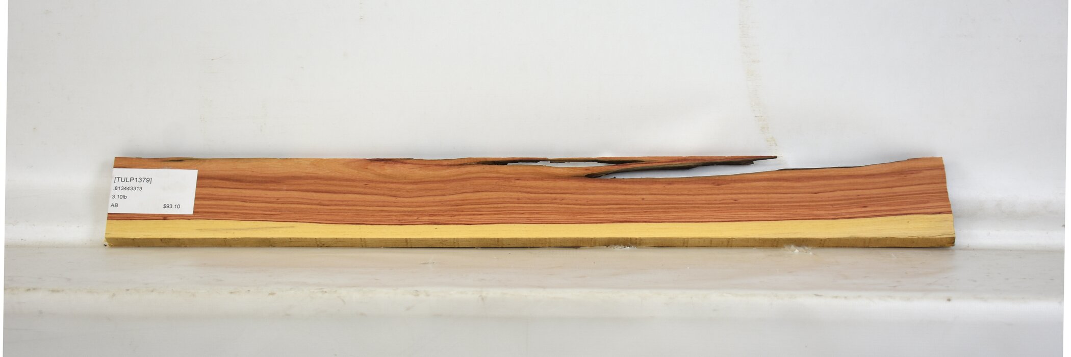 Tulipwood 2 TULP1379_2