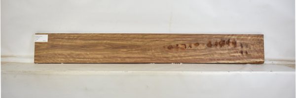 CHECH1241_2