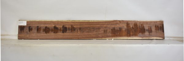 CHECH1242_2