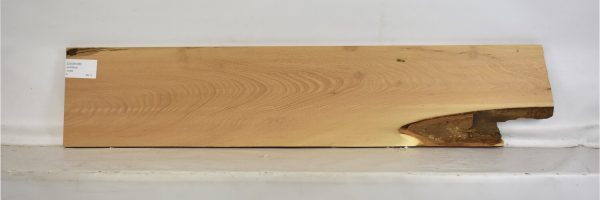 LOCB1006_2