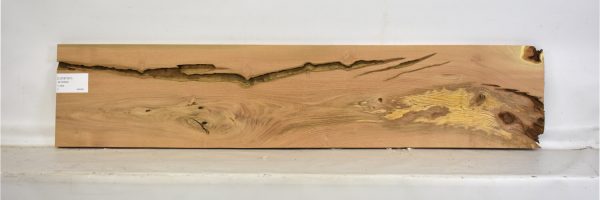 LOCB1007_1
