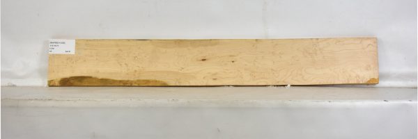 MAPBEH1306_2