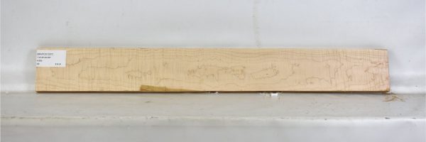 MAPCS1207_1