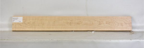 MAPCS1207_2