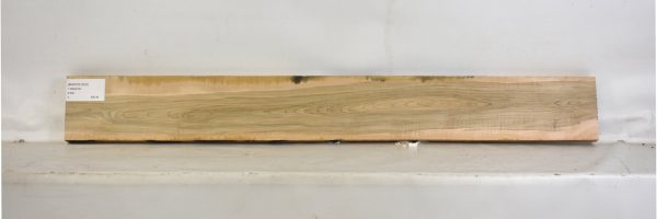 MAPCS1223_1