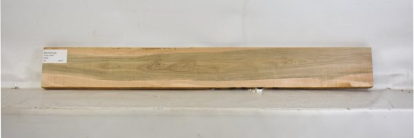 MAPCS1225_1