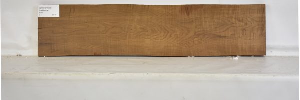 MAPCSR1036_2