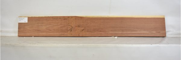 MOGSAN1038_2