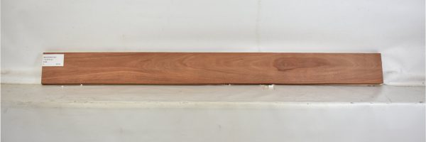 MOGSAN1040_2