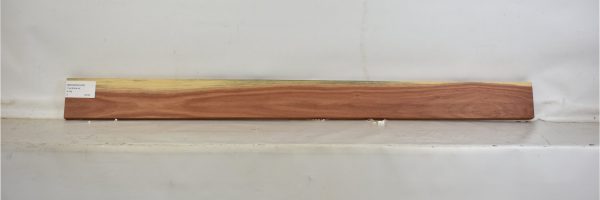 MOGSAN1042_2