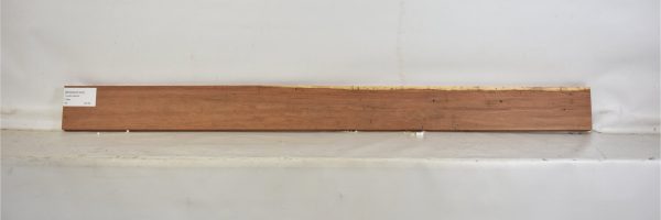 MOGSAN1043_2