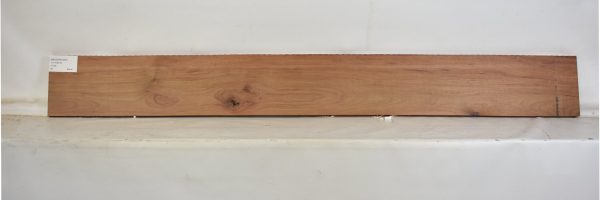 MOGSAN1050_1