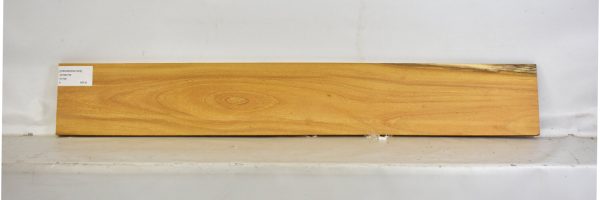 OSORARG1022_2
