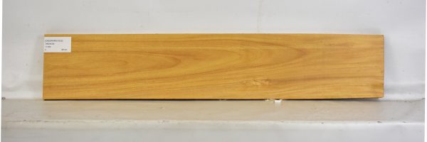 OSORARG1023_1