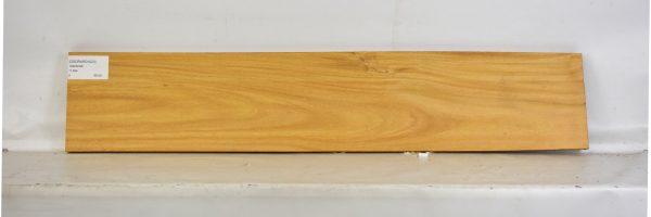 OSORARG1023_2